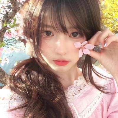 玫瑰的战争